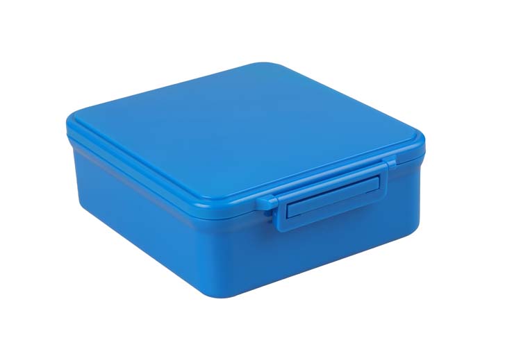 Best Thermal Bento Box for Adults